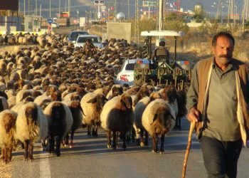 Göçerlerin zorlu dönüş yolculuğu sürüyor