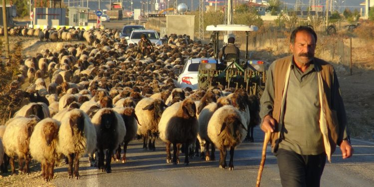 Göçerlerin zorlu dönüş yolculuğu sürüyor Göçerlerin zorlu dönüş yolculuğu sürüyor
