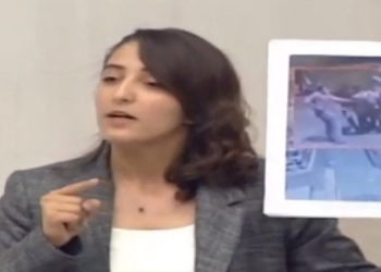 HDP’li Dağ: İktidarın Kürt düşmanlığı yüzde 900 arttı