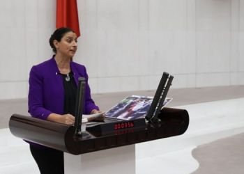 Uca’nın Kürtçe sözleri tutanaklara ‘x’ olarak geçti