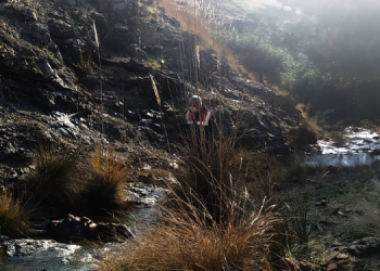 İslahiye Çınarcık deresinde erkek cesedi bulundu