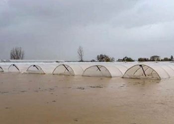 Sel nedeniyle Antalya’da 9 bin dekar ekili alana zarar gördü