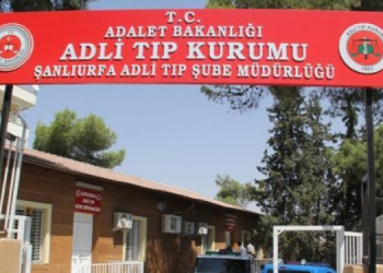 Tarlada alevlerin arasında kalan bebek yaşamını yitirdi