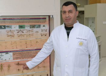 ‘Önlem alınmazsa yumurtadaki çekirgeler 2021’de istilaya neden olur’