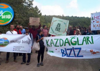 Ekolojistlerden Erdoğan’a ‘vandal’ tepkisi