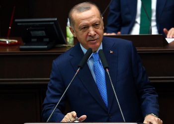 Erdoğan: AİHM, mahkemelerimizin yerine karar veremez