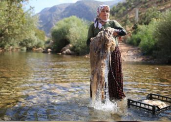Zorava Çayı’nda HES’e değil köylüye ceza