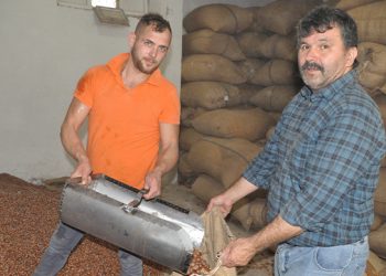Üreticiler, TMO’nun fındık alım süresini uzatmasını bekliyor