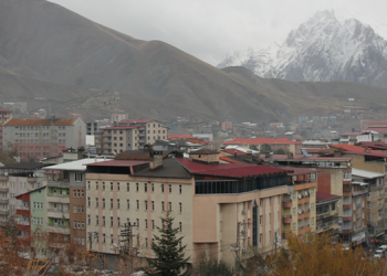 Hakkari kayyımı yolsuzluk davasını geri çekti