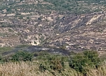 Hatay’da orman yangını