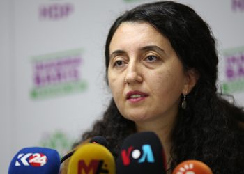 Günay: Açlık grevlerinin çözüm talebi, talebimizdir