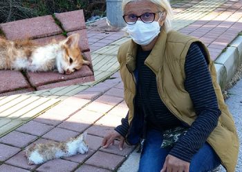 Siz insan olamazsınız!