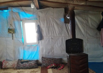 Tarım işçileri: Bizi virüs değil koşullar öldürecek