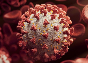 Salgında kırılma ne zaman olur?