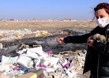 Kulübesi yakılan köpek ve yavrusunun yeni yuvaları da çalındı 