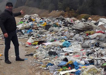 Ormanlık alana kanserojen madde döktüler!