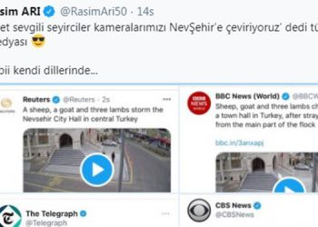 Belediye binasına girerken görüntülenen hayvanlar dünya basınında