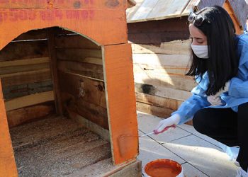 Kışın sert geçtiği Tunceli’de, gençlerden sokak hayvanları için kulübe