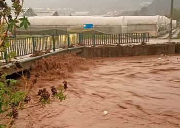 Sel ve hortum seraları da vurdu