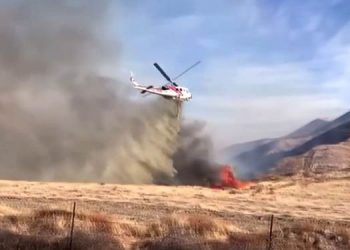 Kaliforniya’daki orman yangını 2 bin dönümlük alana yayıldı