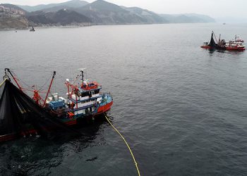 ‘Balığa karşı katliamlar yaptık’