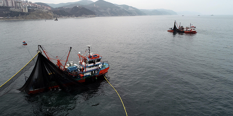 ‘Balığa karşı katliamlar yaptık’ ‘Balığa karşı katliamlar yaptık’