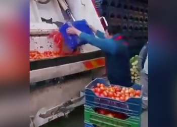 Domates üreticileri isyan etti