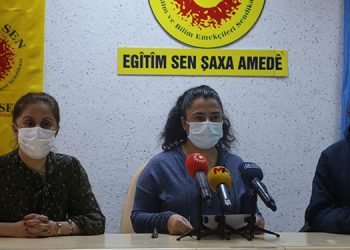 Eğitim Sen: Anadilde eğitim sorunu, eğitime erişimi olumsuz etkiledi