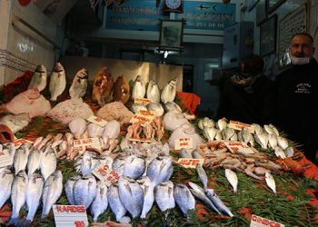 Esnaftan iktidara: At gözlüklerini çıkar halka bak