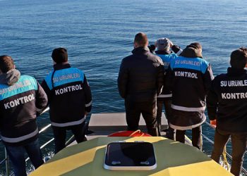 Karadeniz’de balık avcılığına sıkı denetim