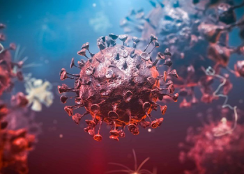 DSÖ’den mutasyon açıklaması