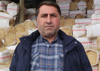 Kuraklık verimi düşürdü, masrafı ikiye katladı