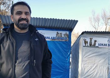 Makam aracı ile 2 belediye aracını satıp, sokak hayvanlarına kulübe yaptırdı