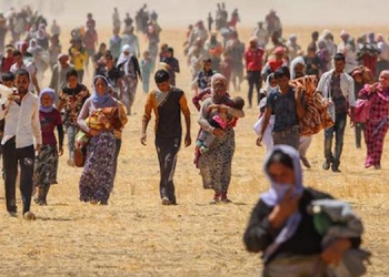 37 kurumdan ortak çağrı: Rojava ve Şengal’i birlikte savunalım