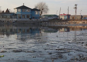 Van Gölü’nde kirlilik alarm veriyor