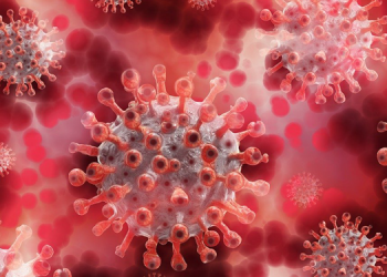 Dünya genelinde Koronavirüs bilançosu: 2 milyon 130 bin 626 can kaybı