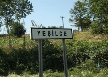 Ormanlık alanda 2 kişi donarak yaşamını yitirmiş olarak bulundu