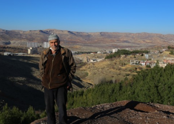 Tek başına orman kuran Apê Şeyhmus: Burası herkesin