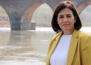 Sur Belediyesi Eş Başkanı Buluttekin’e hapis cezası