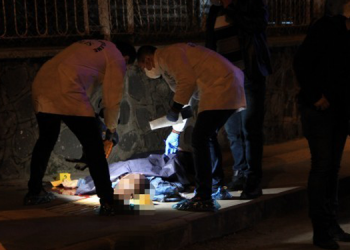 10 kadın örgütünden Gülistan Şaylemez açıklaması