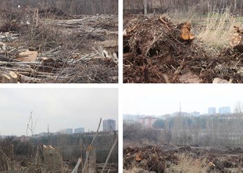 Diyarbakır’da inşaat için binlerce ağaç kesildi