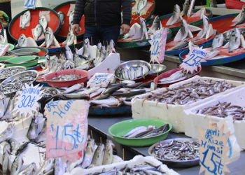 Hamsinin fiyatı, denizden tezgaha gelene kadar 3’e katlanıyor