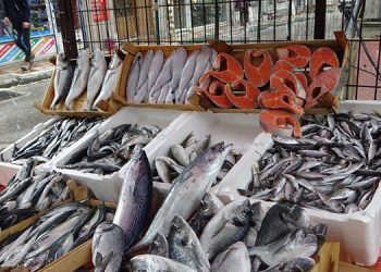 Karlı ve fırtınalı hava, balık fiyatlarını yükseltti