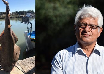 Profesörü isyan ettiren fotoğraf