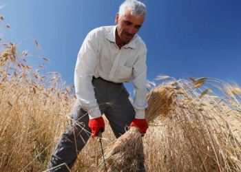 Çiftçi Sen: AKP’li Ünal’ın sözleri çiftçilere hakarettir