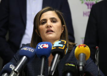 Taşdemir’den Soylu’nun iddialarına yanıt: Kamera görüntüleri nerede?