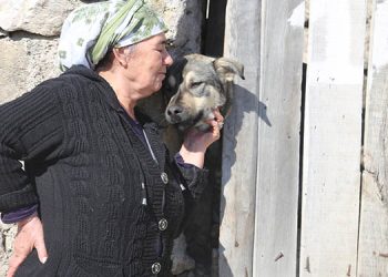 Sokak hayvanları için çağrı: Hayvanlar aç kalmasın