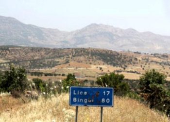 Lice operasyonunda 4 kişi serbest bırakıldı