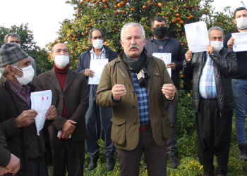 ’60 bin narenciye ağacını kesmek halka ihanettir’