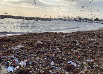Kadıköy Suadiye Sahili’nde çöpler kıyıya vurdu